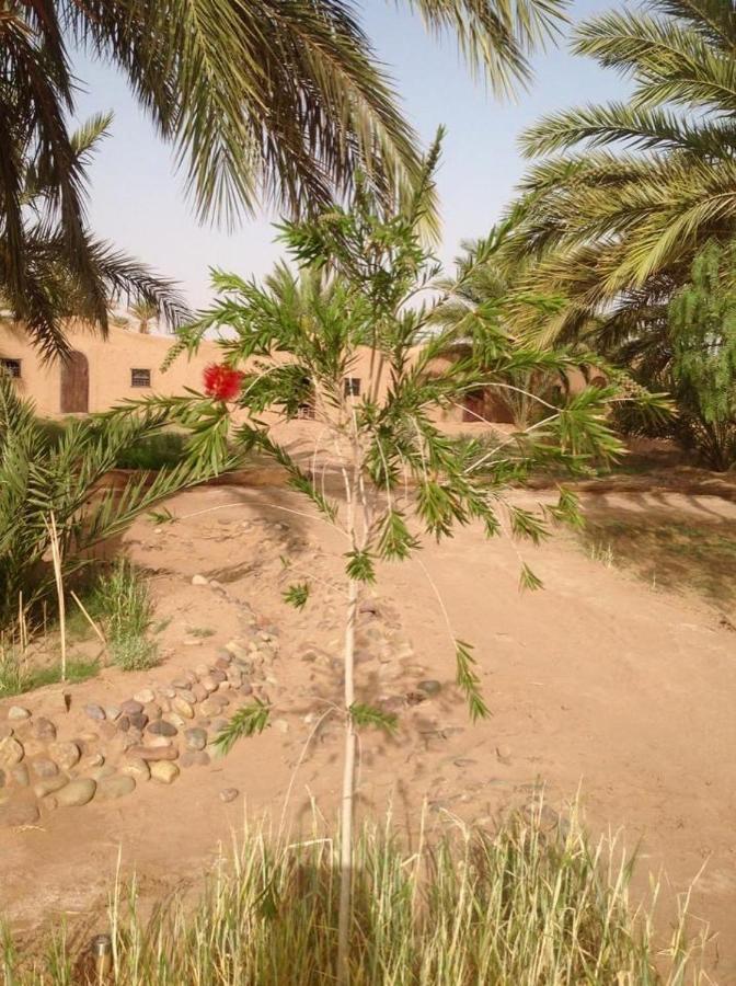 Hotel Chez Madani à M'Hamid El Ghizlane Extérieur photo